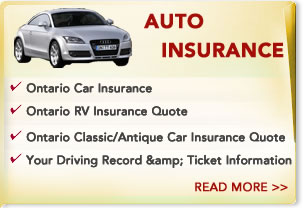 ... Auto Insurance Travel Insurance Business Insurance Legal Contact Us